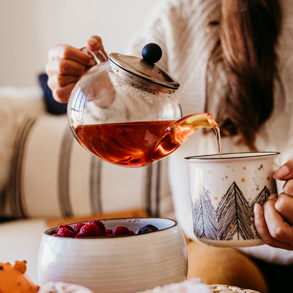 The Beginner’s Guide to Starting Your Tea Journey