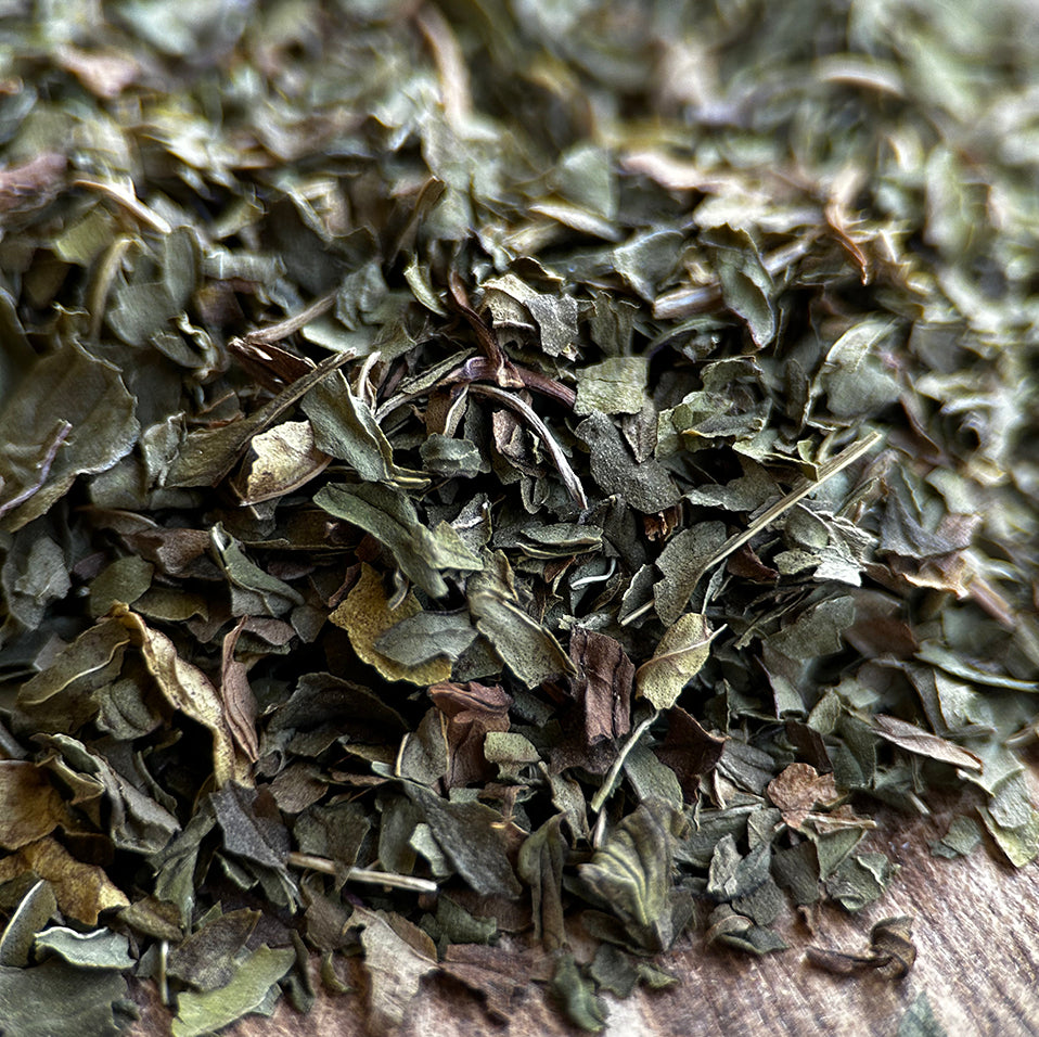 Peppermint Loose Leaf Herbal Tea Let s Do Tea Peppermint Loose Leaf Herbal Tea Let s Do Tea